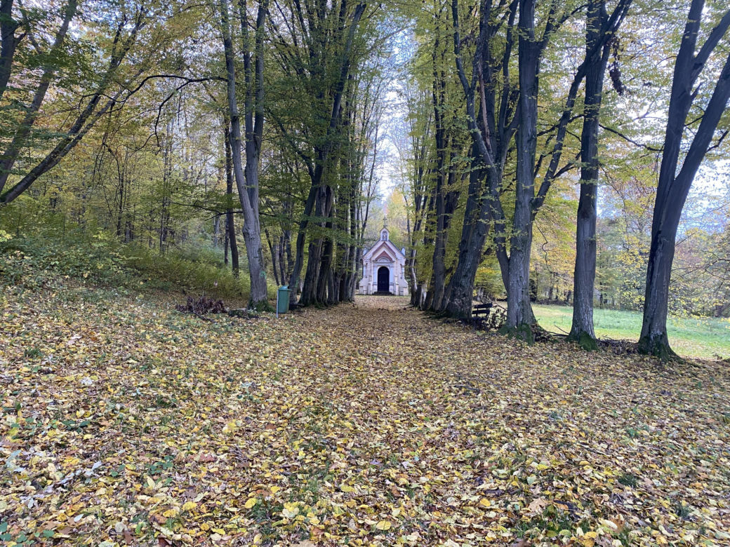 Zamek w Dąbrówce Starzeńskiej