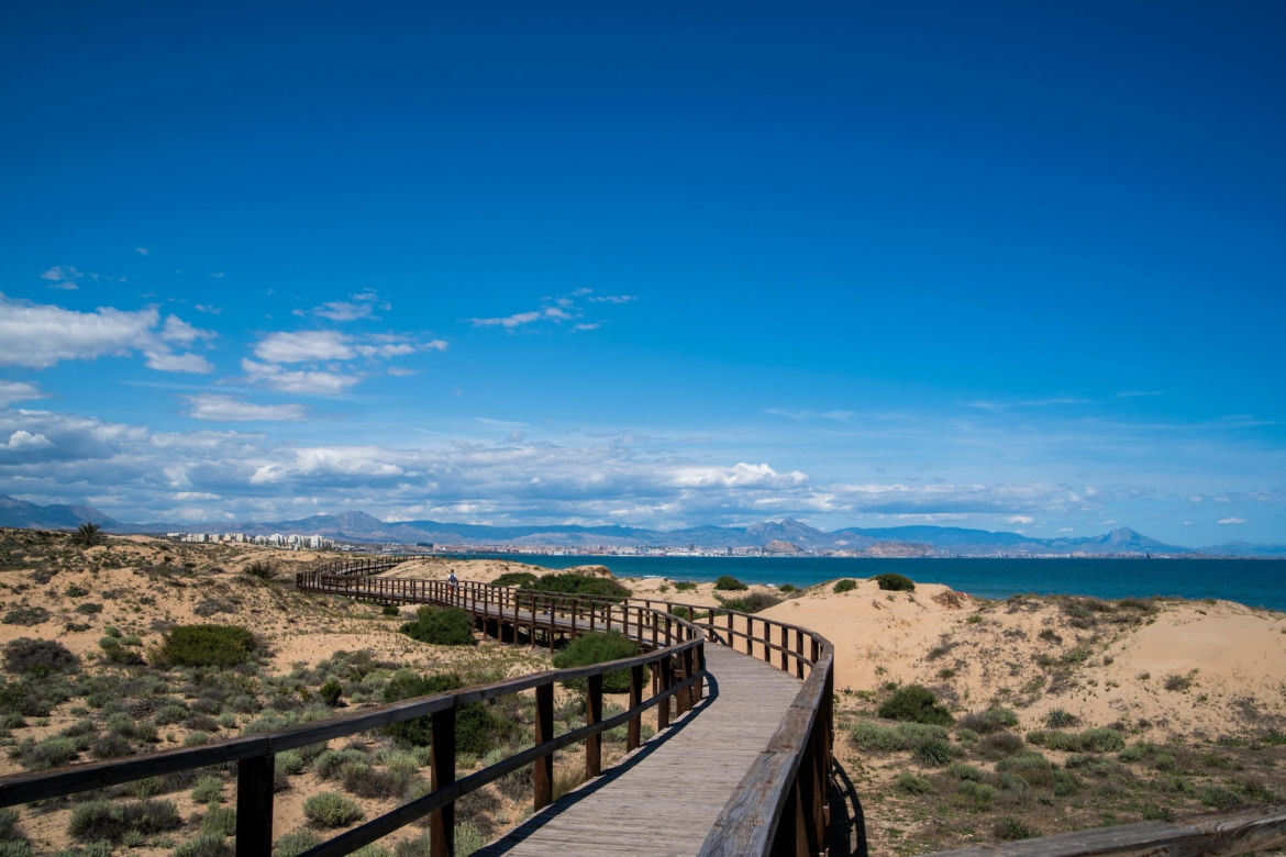 alicante