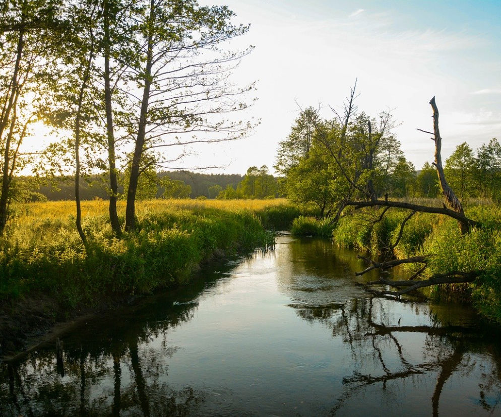 Rzeka