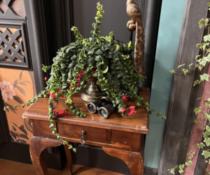 Co naprawdę dzieje się w zamku Zdrajców? Mamy zdjęcia zza kulis hitu TVN!