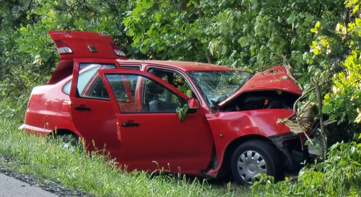 Potworna śmierć. Auto roztrzaskało się na drzewie. Wypadek w Wólce Radzymińskiej