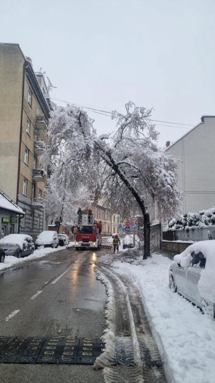 Pogodowy armagedon w Małopolsce. Drzewa łamały się jak zapałki. Setki interwencji