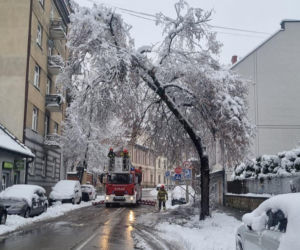 Pogodowy armagedon w Małopolsce. Drzewa łamały się jak zapałki. Setki interwencji