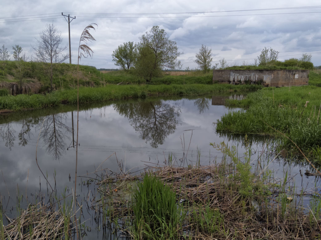 Sprzątanie mostu kolejowego nad rzeką Muchawką - 15.05.2021