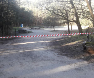 Zakaz wstępu do lasów miejskich w Szczecinie