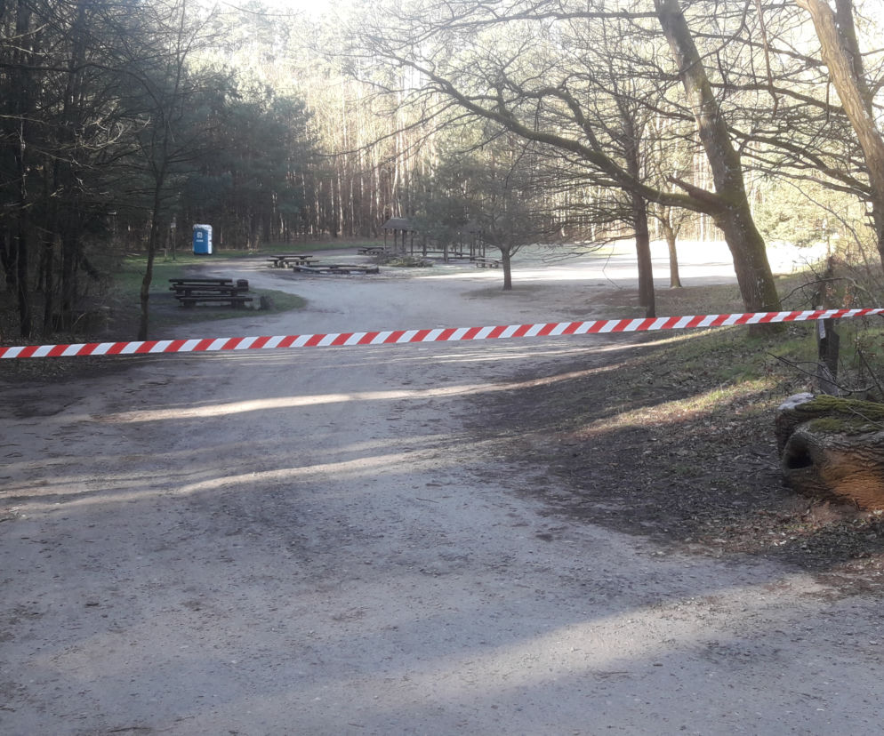 Zakaz wstępu do lasów miejskich w Szczecinie