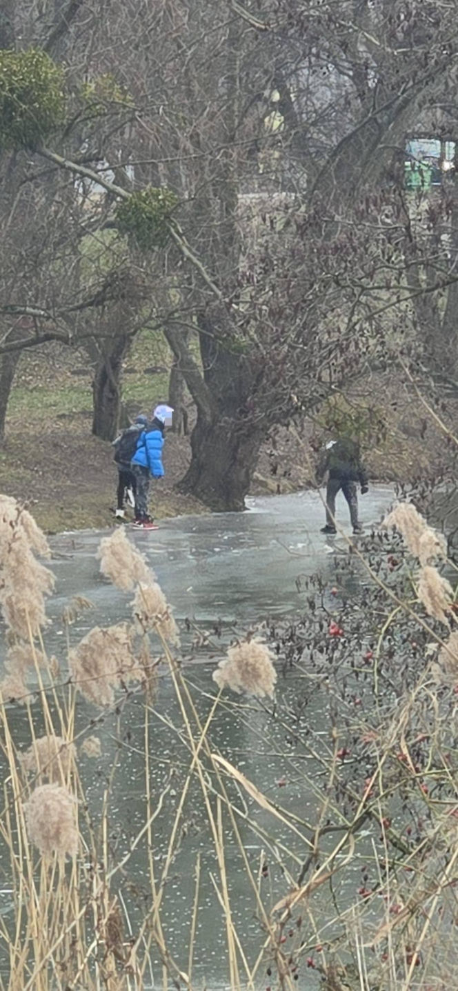 Dramat na rzece we Wrocławiu. Pod chłopcem załamał się lód
