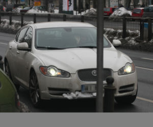 Zrobili dla Kingi białego jaguara