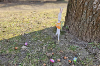 Wielkanocne szukanie jajek w Parku Braci Wieniawskich w Lublinie