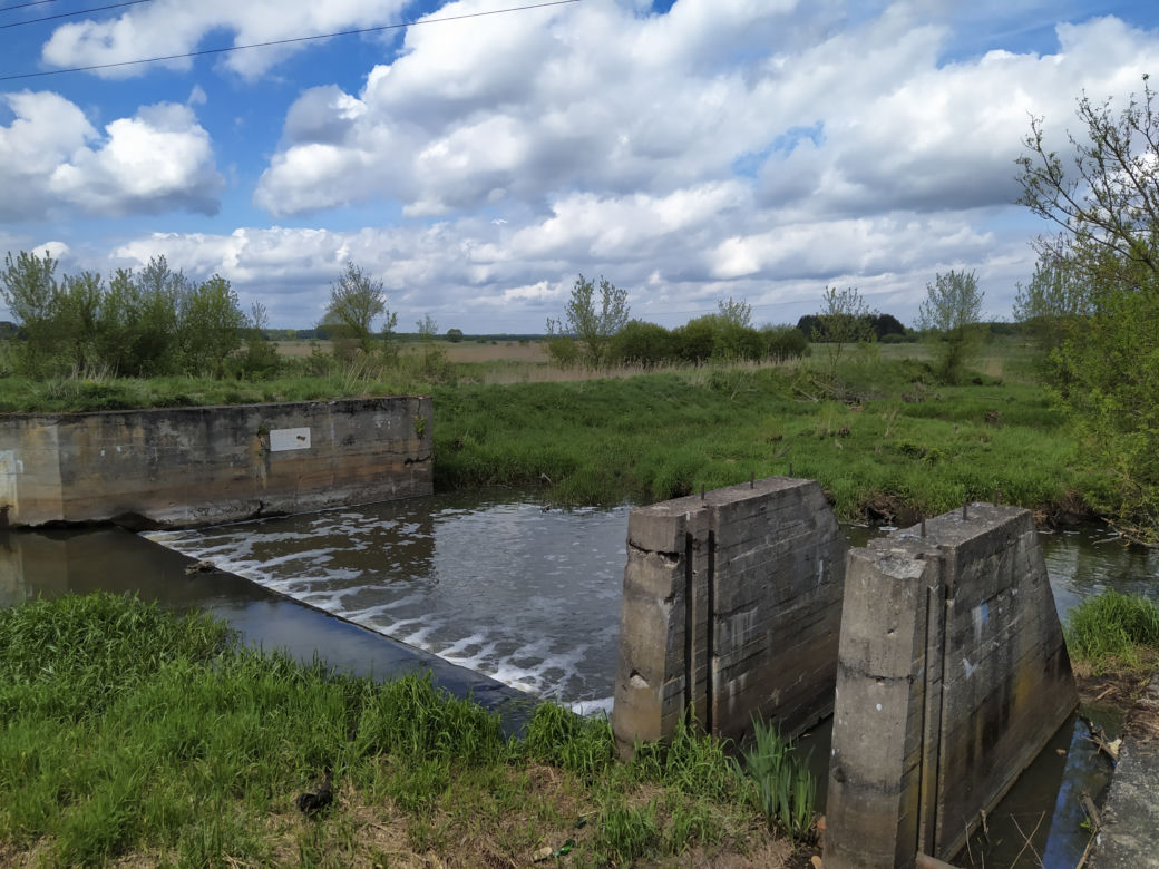 Sprzątanie mostu kolejowego nad rzeką Muchawką - 15.05.2021
