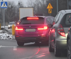 SKOLIM robi masę, ja fast food i kiełbasę