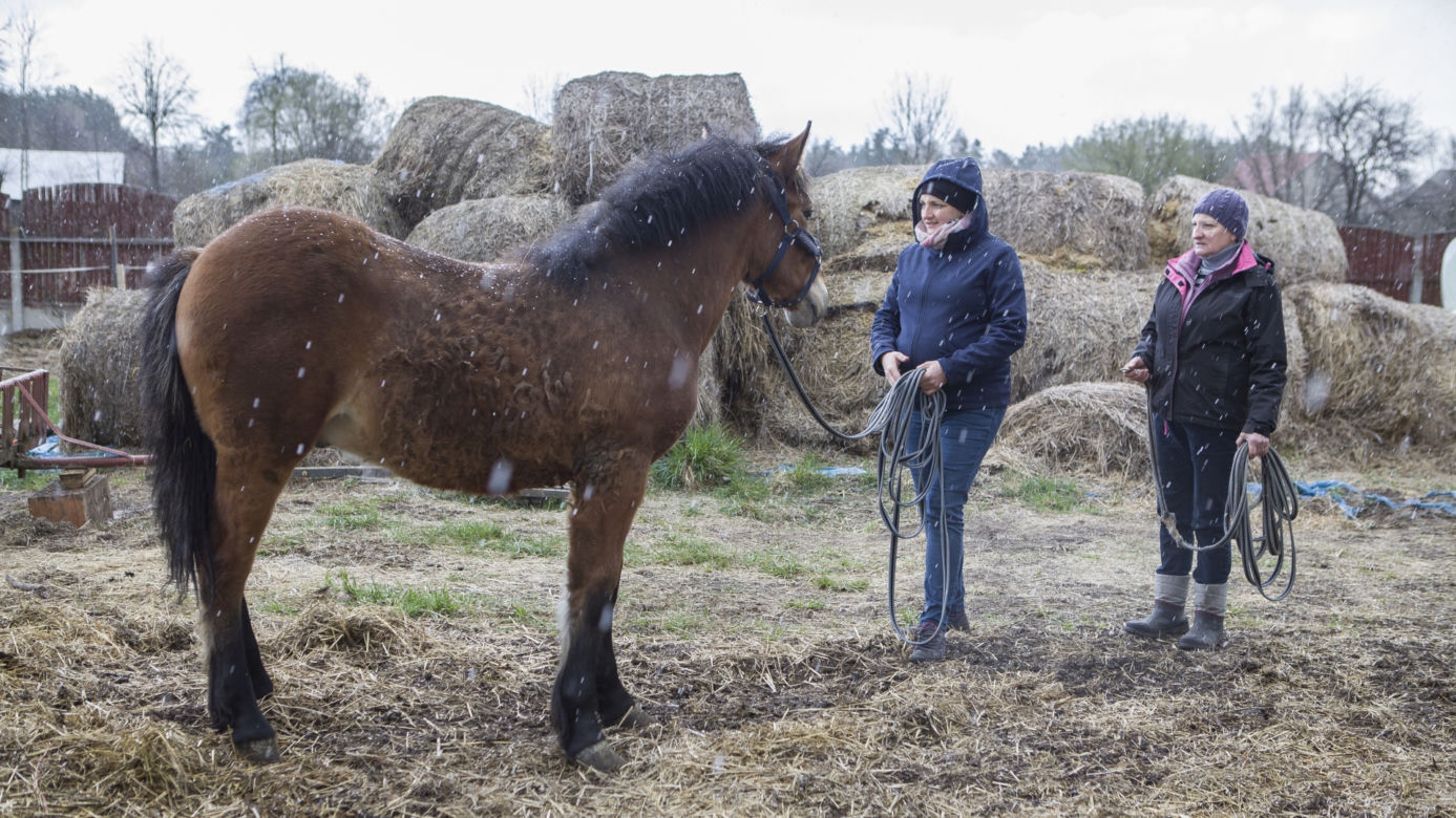 Rolnicy. Podlasie. Emilia Korolczuk i jej Ranczo Laszki