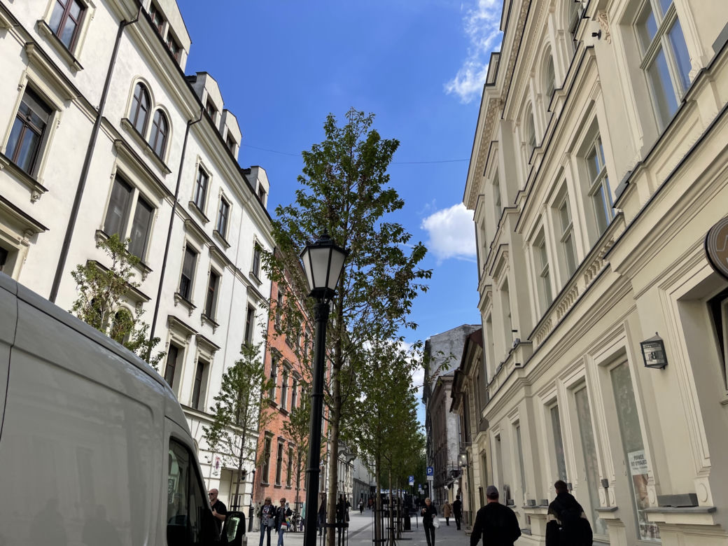 Zieleń w centrum miasta. Tak zmienia się ul. Krupnicza w Krakowie! 