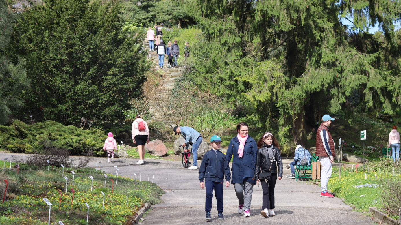 Ogród Botaniczny w Lublinie otwarty! Wszędzie widać wiosnę