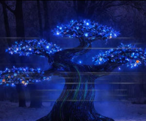 Festiwal Kalejdoskop