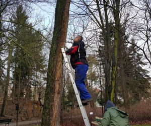  Budki lęgowe zawisły w bydgoskim Ogrodzie Botanicznym UKW w Bydgoszczy