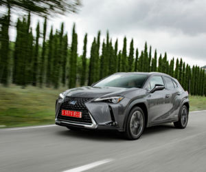 Lexus UX 250h E-Four Omotenashi