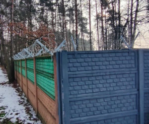 Tu trafiły psy uratowane ze schroniska w Sobolewie. Byliśmy na miejscu