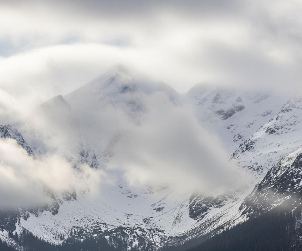 Dominują tu ośnieżone, skaliste góry, częściowo przysłonięte przez kłębiące się, białe chmury i mgłę. Ostro zarysowane szczyty i zbocza, pokryte warstwą białego śniegu, przeplatają się z ciemnymi, skalistymi odsłonięciami oraz zalesionymi partiami u podstawy gór. Dolna część kadru ukazuje gęsty, ciemnozielony las iglasty, który rośnie na zboczach u podnóża ośnieżonych masywów. Całość spowija szare i białe zachmurzone niebo.
