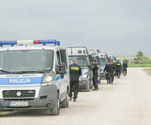 Szósta doba poszukiwań Dawidka