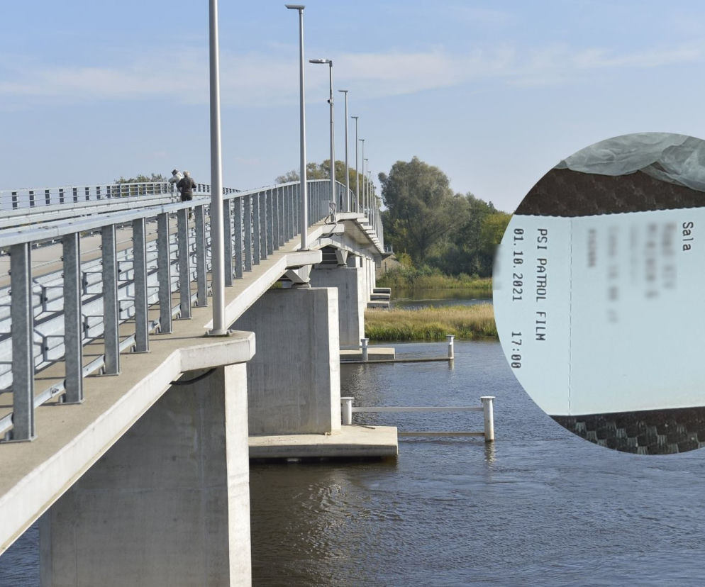 Były w kinie na Psim Patrolu, potem Magda zabrała siostrom Gabrysię. Makabra w Pułtusku