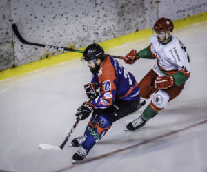 Zagłębie Sosnowiec - KH Energa Toruń 3:5, zdjęcia z meczu