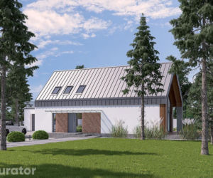 Projekt A102aG2 Dom z klimatem - wariant II