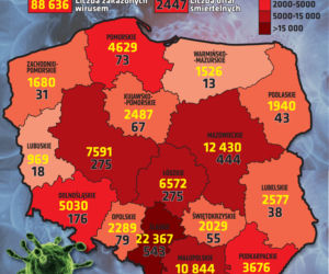 Koronawirus w Polsce. Ile jest dziś zakażeń? [28 WRZEŚNIA]