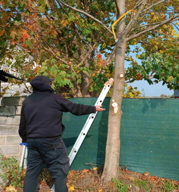 Dramat na działce. Emeryt stracił oko