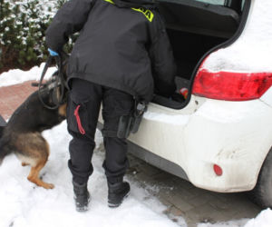 Policjanci znaleźli broń palną i 19 sztuk ostrej amunicji