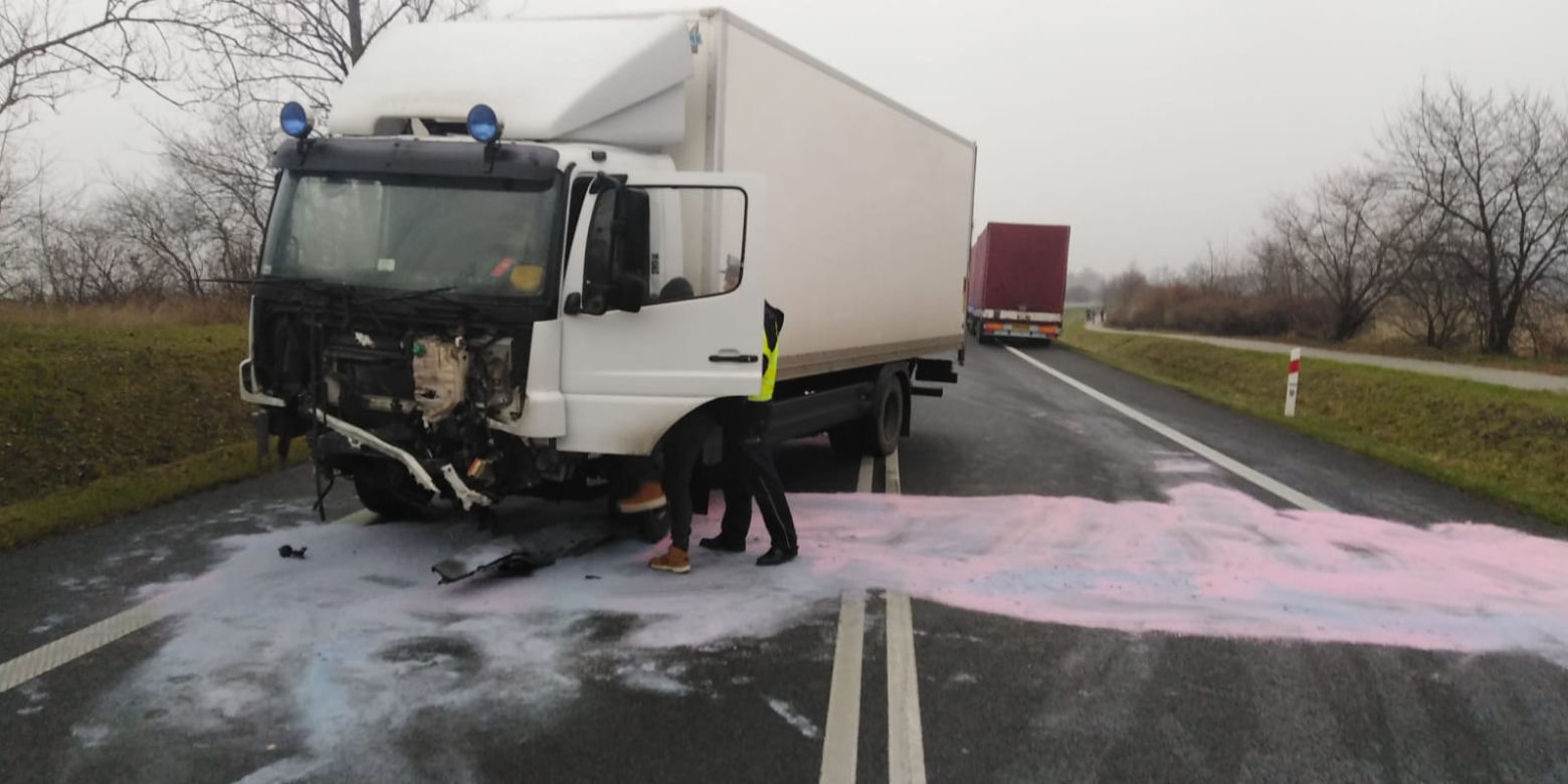 Horror na drodze niedaleko Torunia. Apel do świadków!