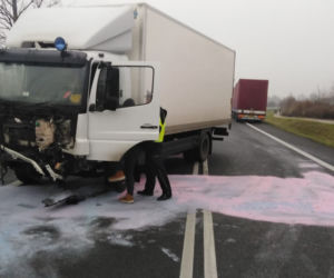 Horror na drodze niedaleko Torunia. Apel do świadków!