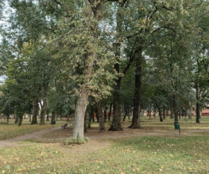 Blisko 12 milionów złotych na tereny zielone w Łomży. Zmiany zajdą na terenie Parków Ludowego, Jakuba Wagi i przy ulicy Katyńskiej