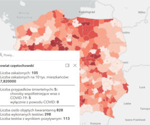 Koronawirus w województwie śląskim. Tak wygląda sytuacja w poszczególnych powiatach [RAPORT, 19 MARCA]