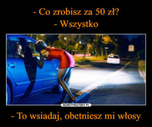 Fryzjerzy na kwarantannie: MEMY. W oczekiwaniu, kiedy otworzą salony fryzjerskie