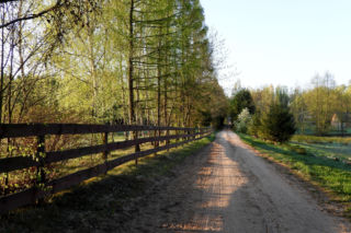 Puszcza Knyszyńska