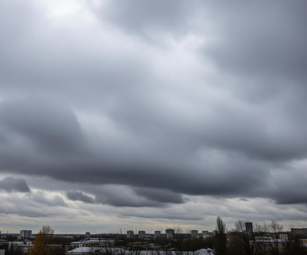 Niebo wypełniają gęste, ciężkie, szare chmury o zróżnicowanej tonacji, od jasnoszarej do ciemnoszarej, pokrywające około dwóch trzecich kadru. Poniżej rozciąga się miejski krajobraz z licznymi budynkami mieszkalnymi o różnej wysokości, w tym blokami i wieżowcami, oświetlonymi stonowanym, pochmurnym światłem. Na pierwszym planie widoczne są nagie drzewa i krzewy z nielicznymi, uschniętymi liśćmi, a także dachy niektórych budynków częściowo pokryte śniegiem. Całość tworzy melancholijny obraz zimowego dnia w mieście.
