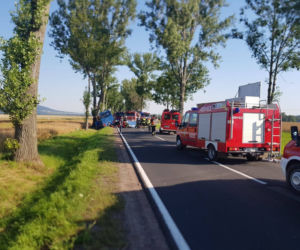 Śmiertelny wypadek na DK 33 w miejscowości Wilkanów