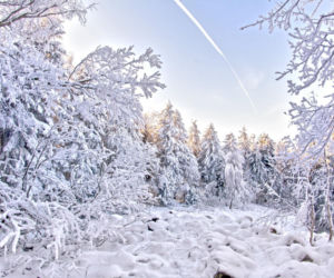 Świętokrzyskie w zimowej szacie