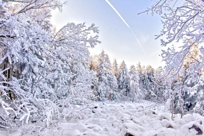 Świętokrzyskie w zimowej szacie