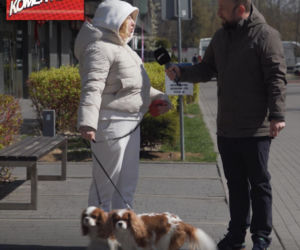 W Polsce jest już więcej PSÓW niż DZIECI! Dlaczego młodzi wolą kupić PSA? 