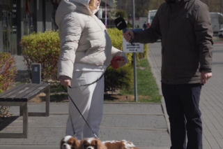 W Polsce jest już więcej PSÓW niż DZIECI! Dlaczego młodzi wolą kupić PSA? 