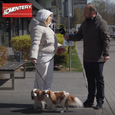 W Polsce jest już więcej PSÓW niż DZIECI! Dlaczego młodzi wolą kupić PSA? 