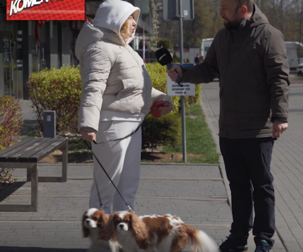 W Polsce jest już więcej PSÓW niż DZIECI!