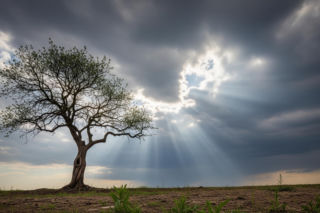 Prognoza pogody na lato 2026. Jaką wizję przedstawił Krzysztof Jackowski?