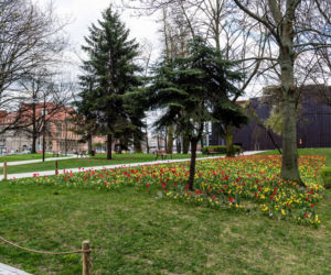 Tak zmieniło się Trójmiasto w czasie zarazy
