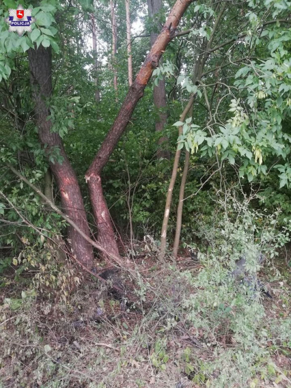 19-latek uderzył w drzewo. MASAKRA! Z auta wyrwało nawet silnik