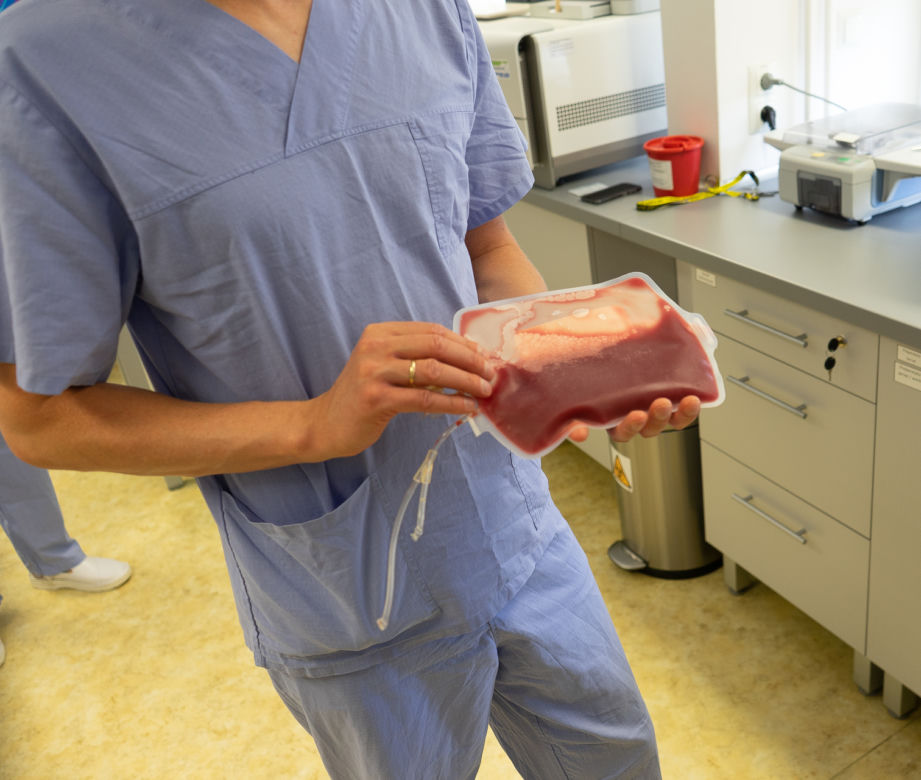 Transplantacja