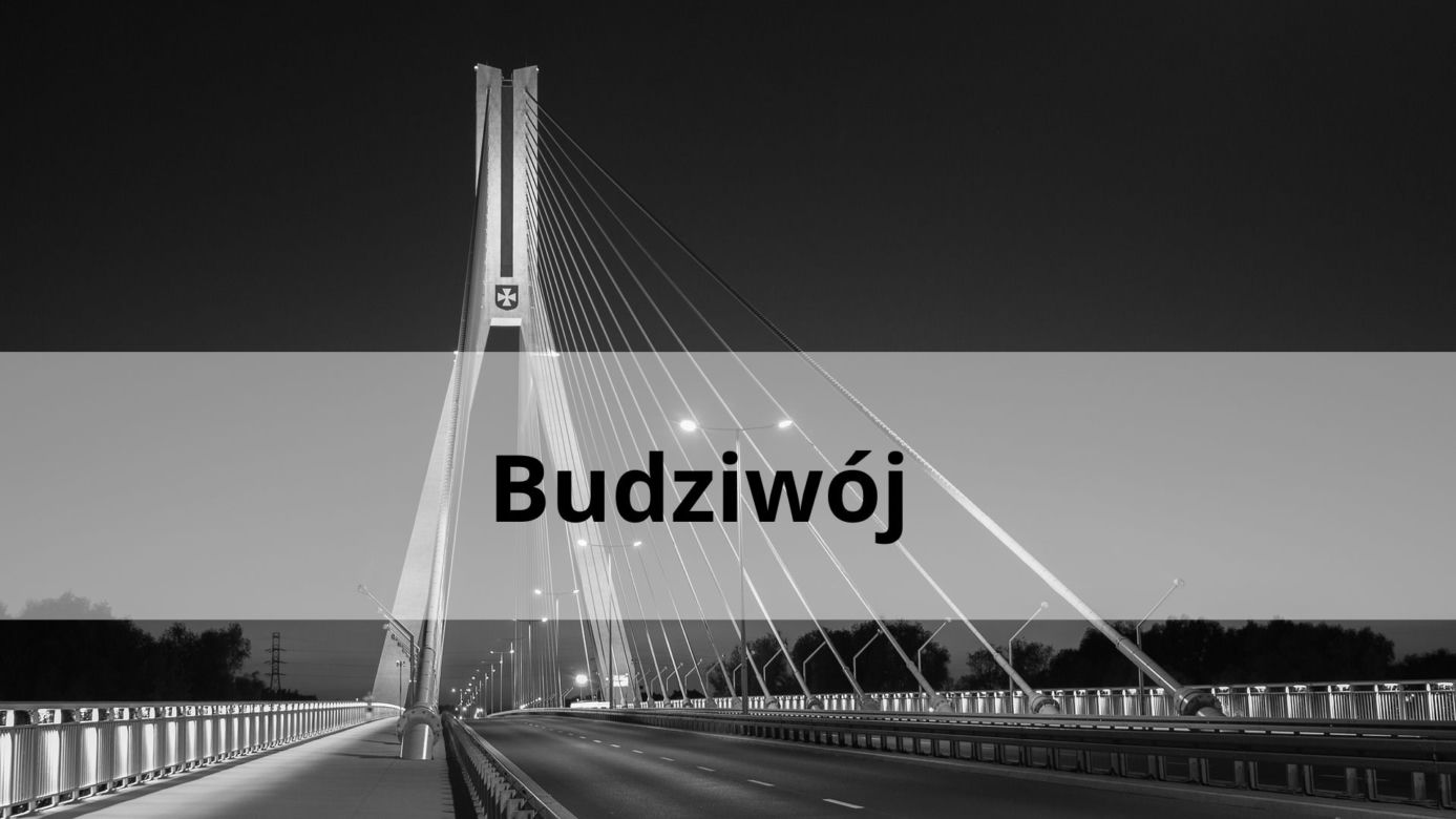 Budziwój 8293 mieszkańców