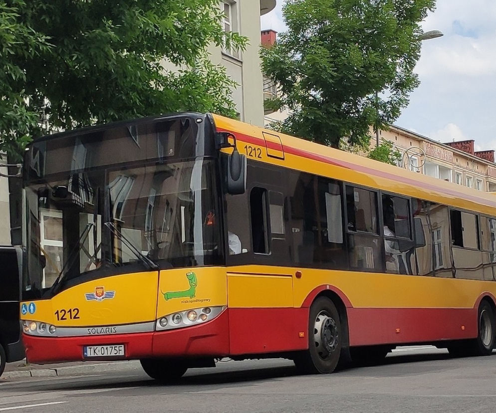 Kolejne nowe autobusy w Kielcach